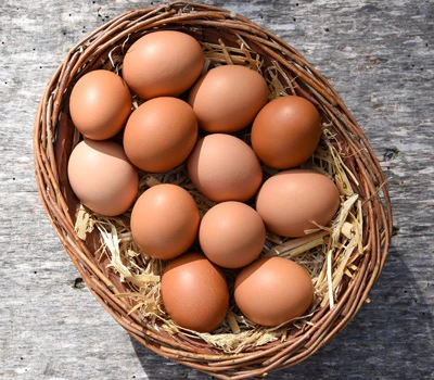 Eier